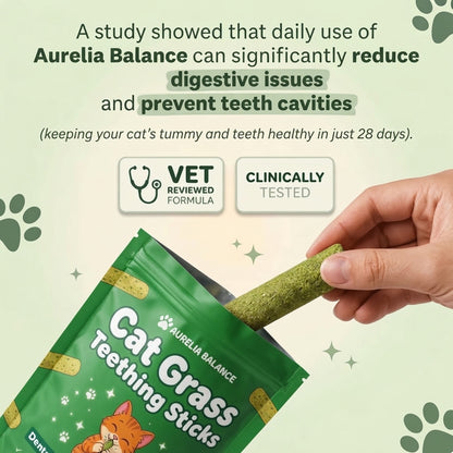 Cat Grass Teething Sticks