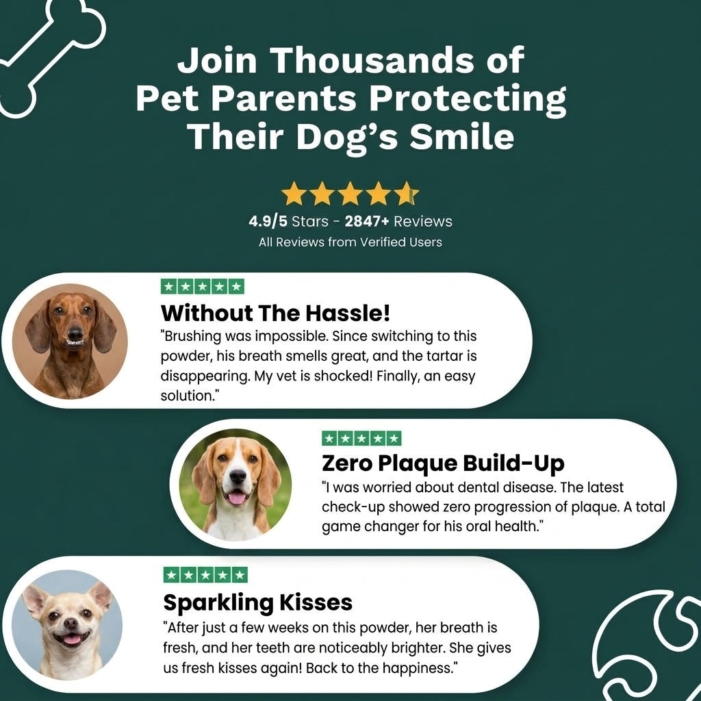 Natural Pet Teeth Cleaning Powder