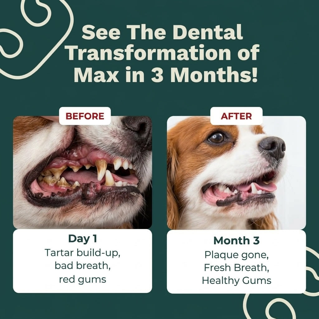 Natural Pet Teeth Cleaning Powder