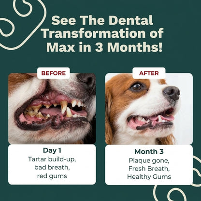 Natural Pet Teeth Cleaning Powder