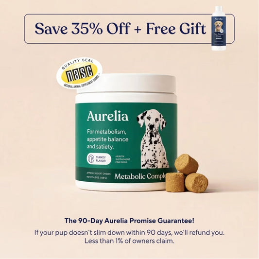 Metabolic Complex – Natural GLP-1 Chews For Overweight Dogs